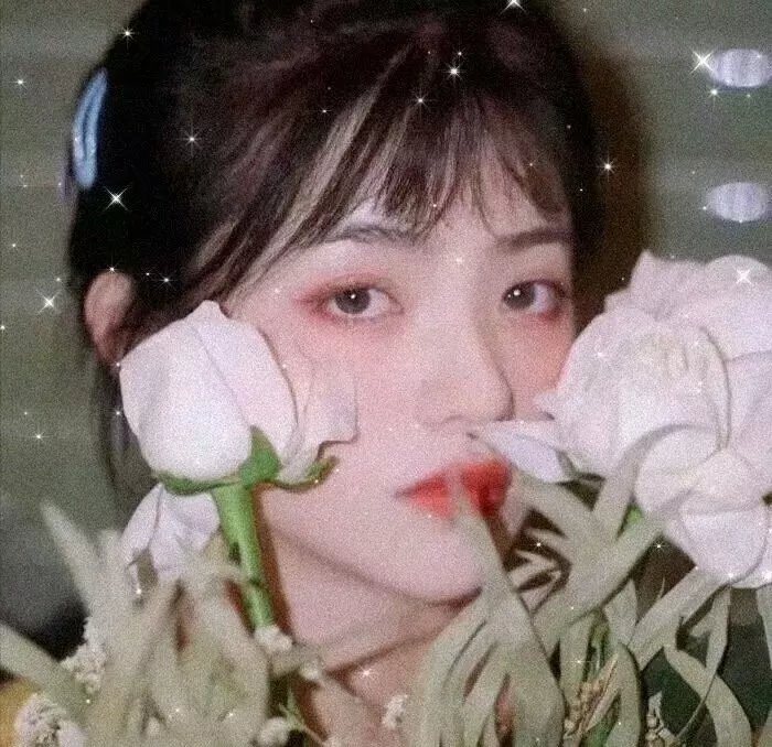 烽火丽人