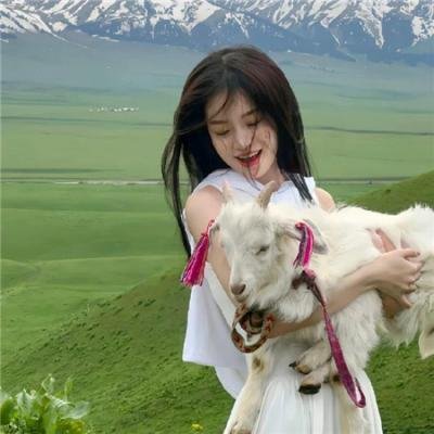 僵尸教战守则